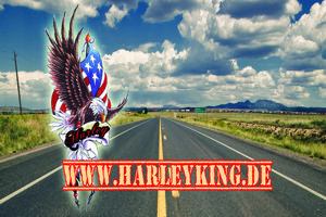 Sönke Ellerbrocks Harleyking-Seite